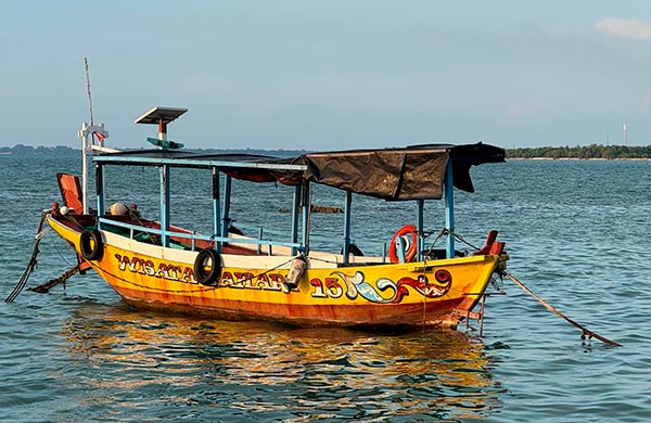 Bois de bateau