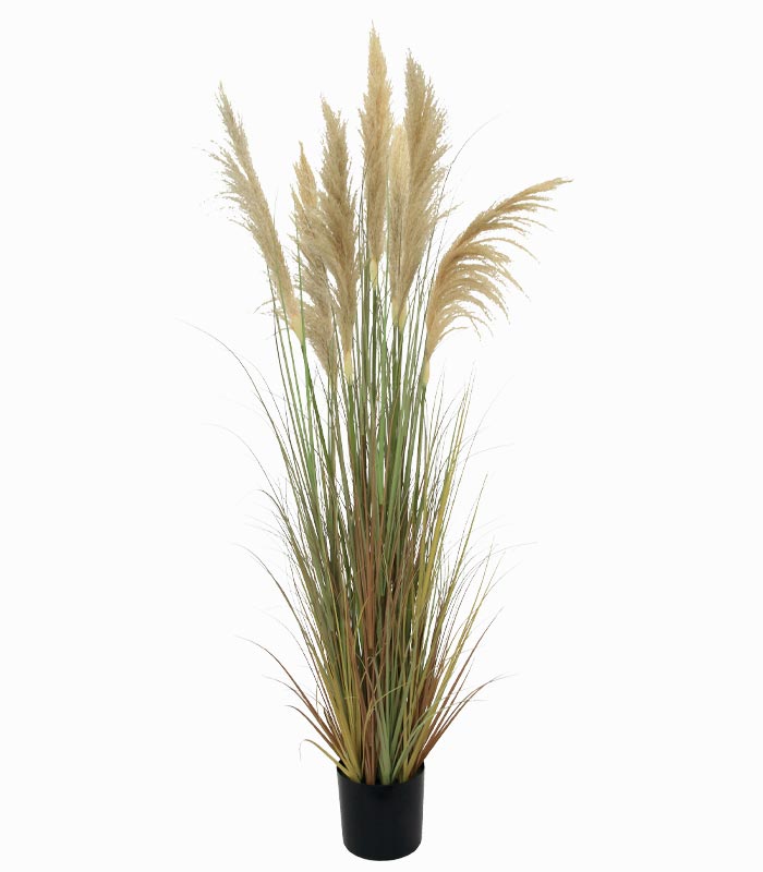 Plante artificielle PAMPA naturel en pot Plante artificielle PAMPA naturel en pot