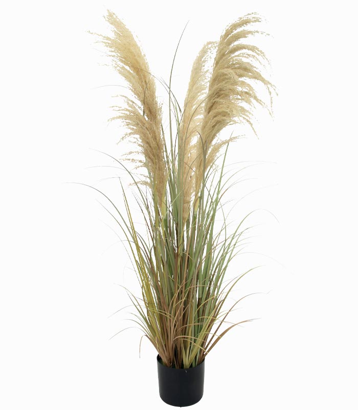 Plante artificielle PAMPA Plante artificielle PAMPA