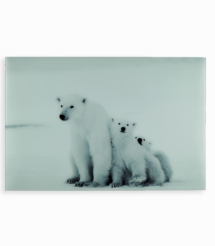 Tableau en verre FAMILY BEARS Tableau en verre FAMILY BEARS