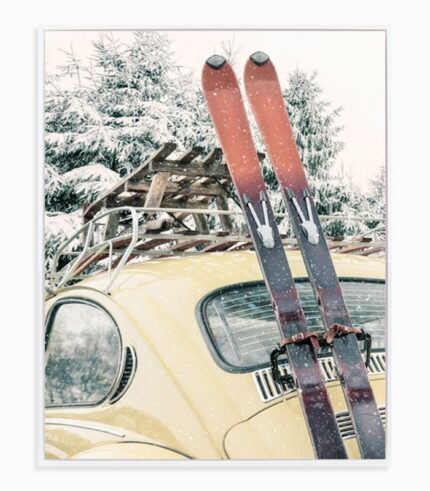 Tableau SKI 2 CV