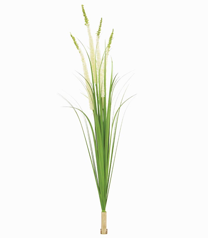 Plante artificielle EREMURUS en tige Plante artificielle EREMURUS en tige