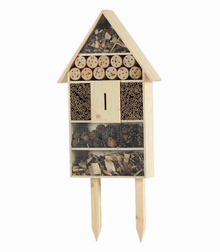 Maison à insectes
