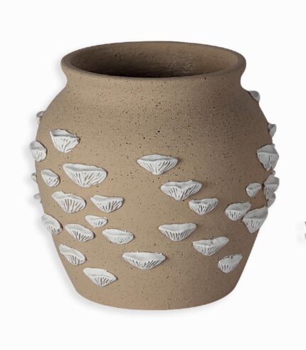 Vase avec coquillages blancs