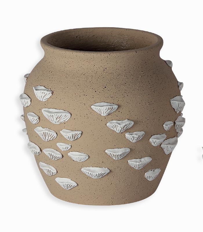 Vase avec coquillages blancs Vase avec coquillages blancs
