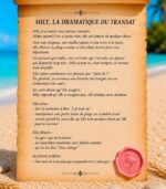MILY PARCHEMIN