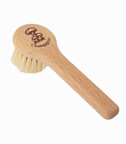 Brosse à champignon