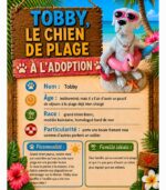 Tobby le chien de plage