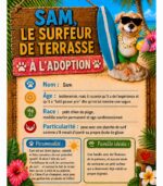 Sam le surfeur de terrasse