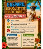 Gaspard le maquettiste du littoral