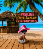 Praline la mondaine