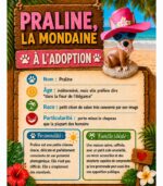 Praline la mondaine