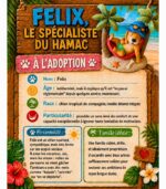 Felix le spécialiste du hamac