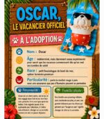Oscar le vacancier officiel